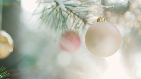 christmas balls hang on a green branch of a new year tree in a winter forest at sunset