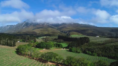 Drone-flies-backwards-over-farm-with-orchards-and-oak-tree-lane-with-clouds-shrouding-mountain-top-during-early-morning