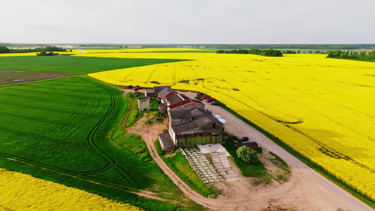 Drone sorvola mulino a grano abbandonato incorniciato da colza gialla e foraggio verde UE