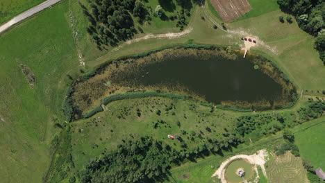 Antena:-Toma-De-Un-Dron-Ascendente-De-Un-Estanque-Poco-Común-Que-Parece-Un-Pez-Rodeado-De-Hierba-Verde