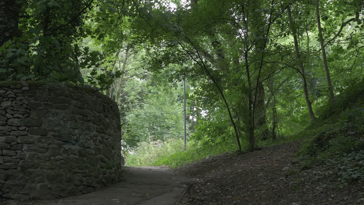 Forest walk through green trees and stone walls