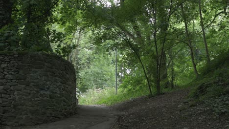forest walk through green trees and stone walls
