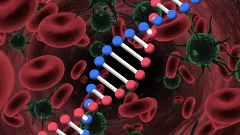 Animation-of-dna-strand-rotating-over-red-blood-cells-and-green-covid-19-cells