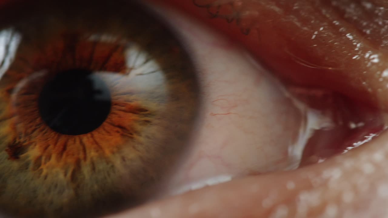 인간 눈의 클로즈업
