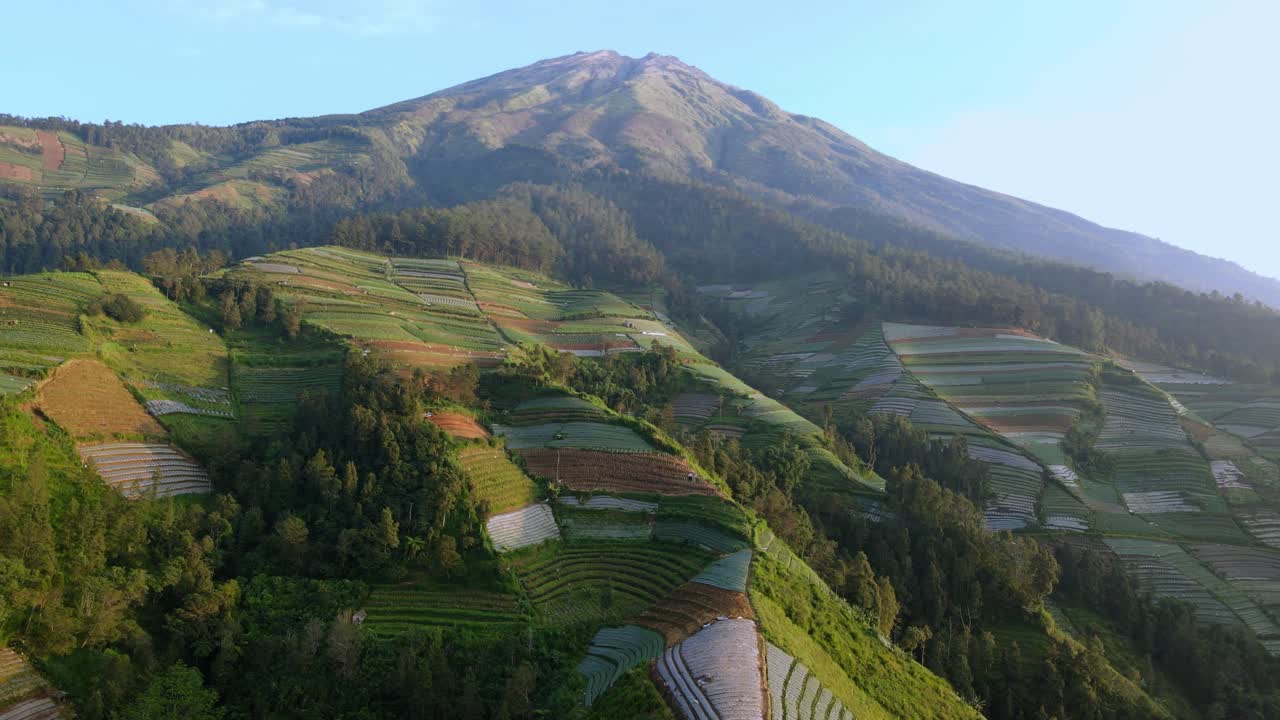 vista de avión no tripulado de un campo agrícola ubicado en la ladera de una montaña