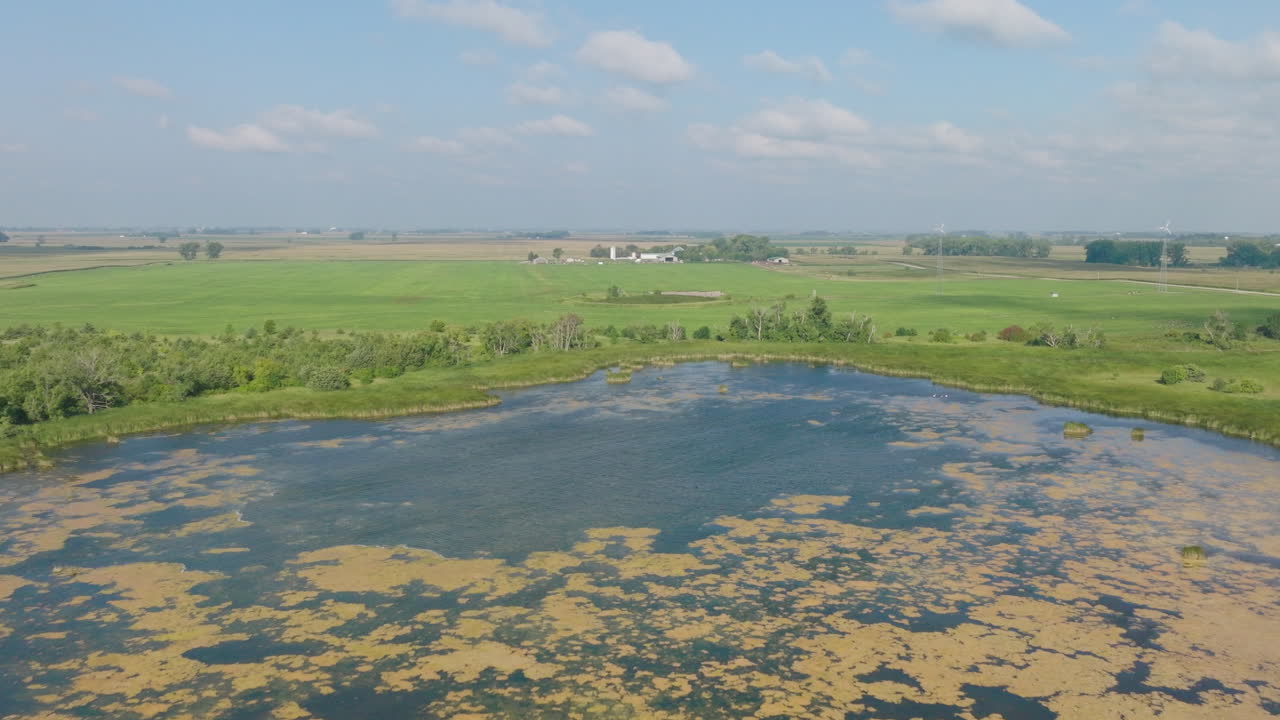 Lago al centro di una piantagione, ripresa aerea in ascesa
