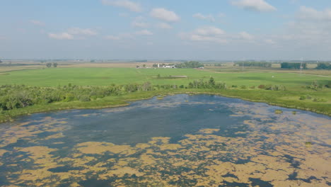 Lake-in-the-middle-of-plantation,-aerial-ascending