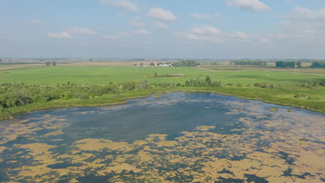 lake in the middle of plantation, aerial ascending