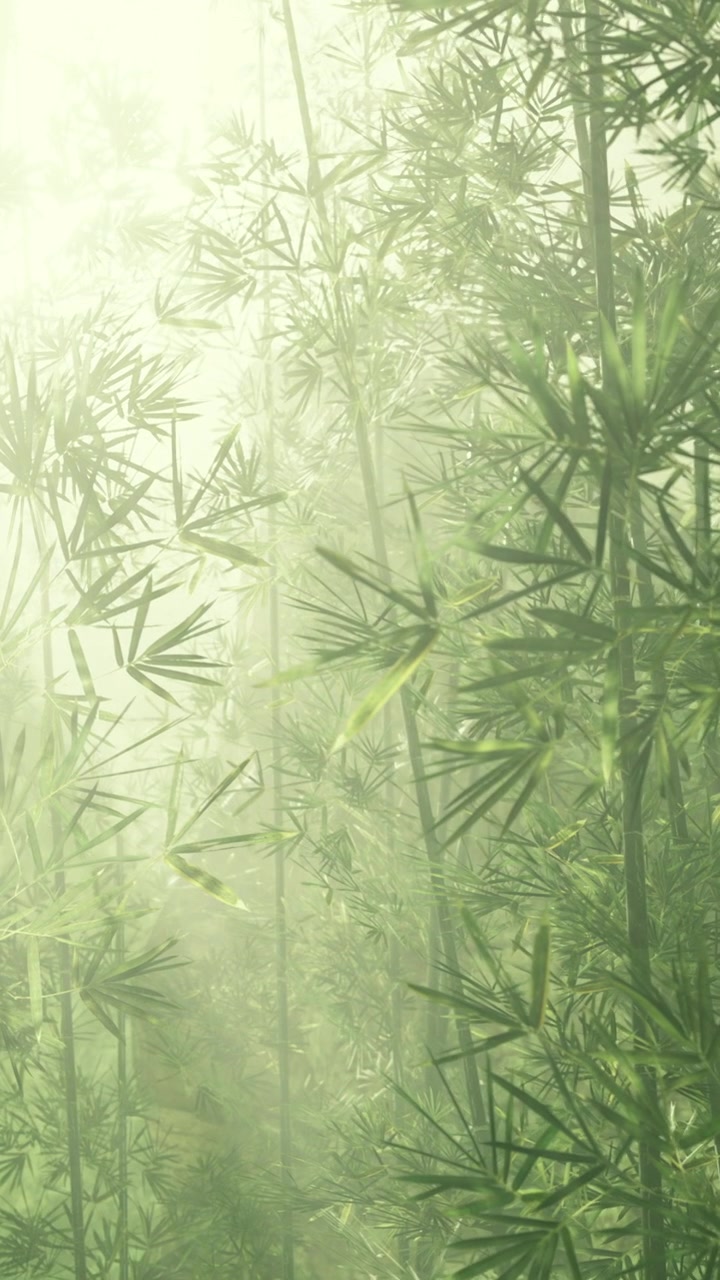La vegetazione naturale risplende alla luce del primo mattino con la rugiada sulle foglie