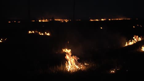 incendio forestal en la noche