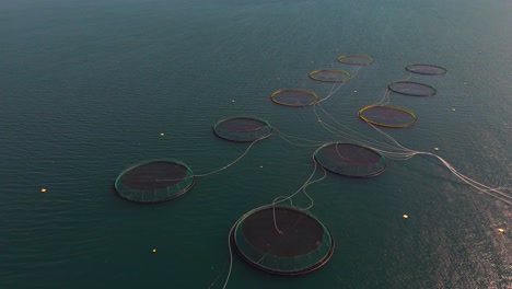 soar above the lush landscapes of iceland as we explore a salmon farm, where sustainable practices meet breathtaking natural scenery.