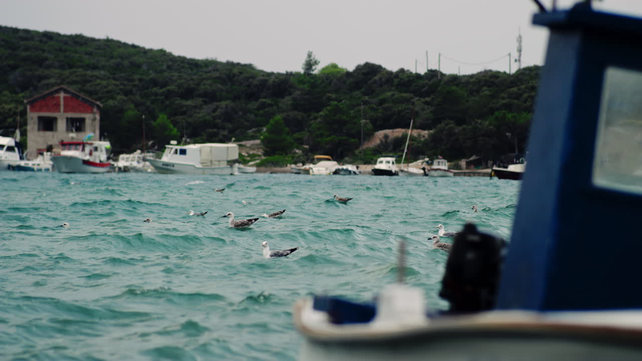 Seagulls float in rocky ocean waves, boat bobs in foreground out of focus