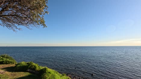 calm ocean waves and trees at brighton beach