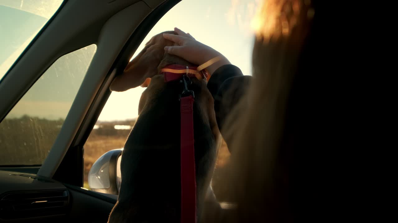 차에서 여행하는 개와 함께 아름다운 젊은 여성. 가까이 가