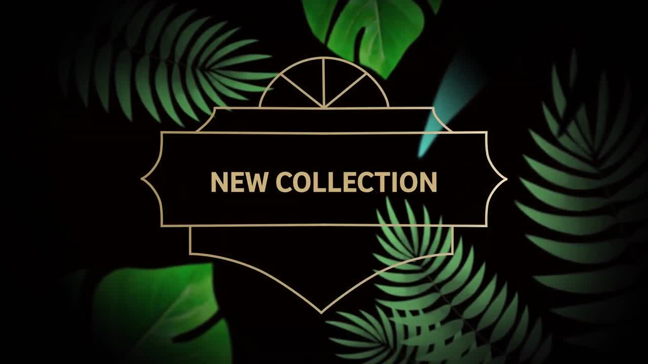 검은색 바탕에 새 컬렉션 텍스트의 애니메이션