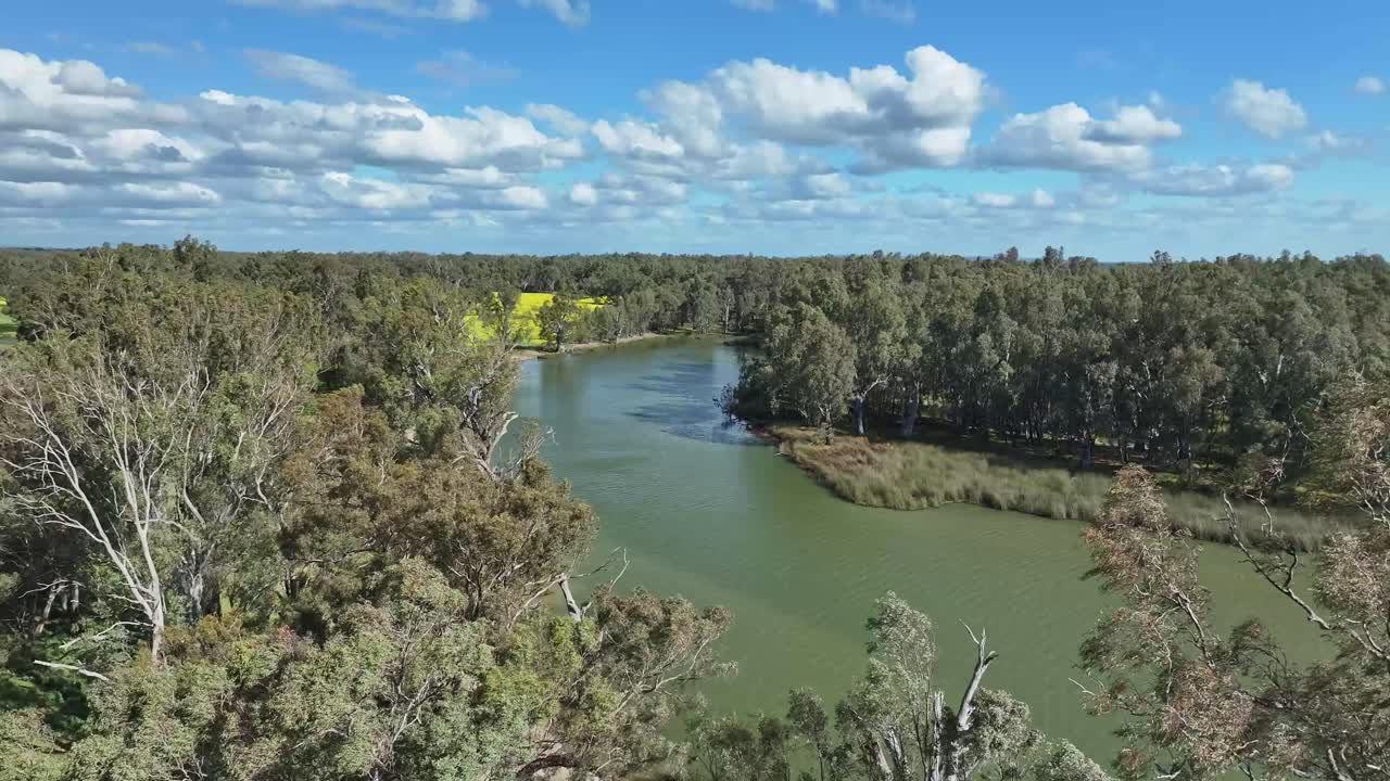 Australian bushland along the Murray River under beautiful blue skies