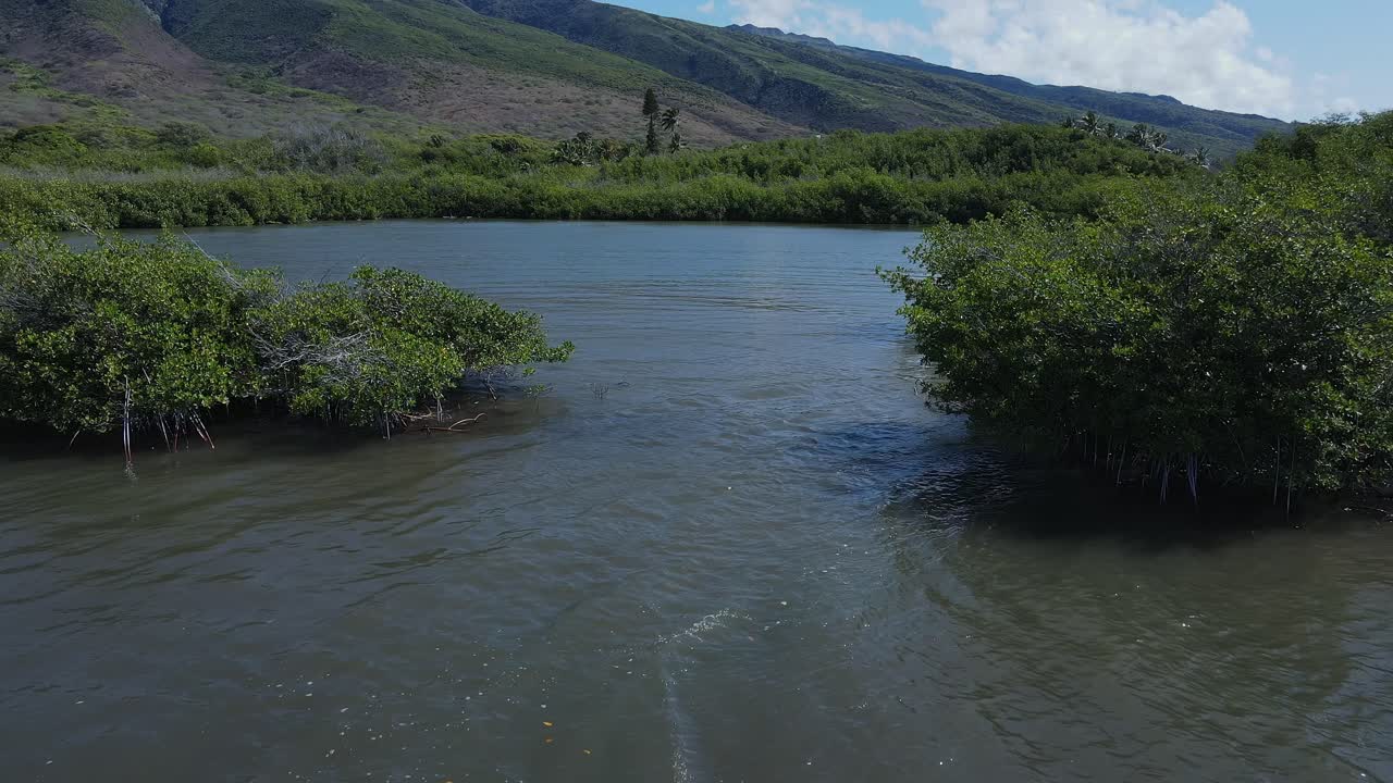 drone aéreo bajo sobre el río cerca de la cordillera del desierto en un día soleado