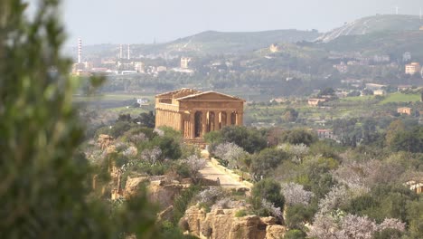 Landschaft-Des-Tempio-Della-Concordia-Im-Tal-Der-Tempel-In-Der-Nähe-Von-Agrigent,-Sizilien,-Italien-Mit-Einem-Baum-Im-Vordergrund