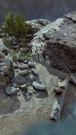 tranquil riverbank with driftwood