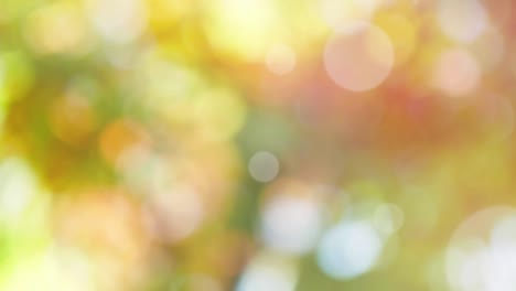 Abstract spring background with bokeh