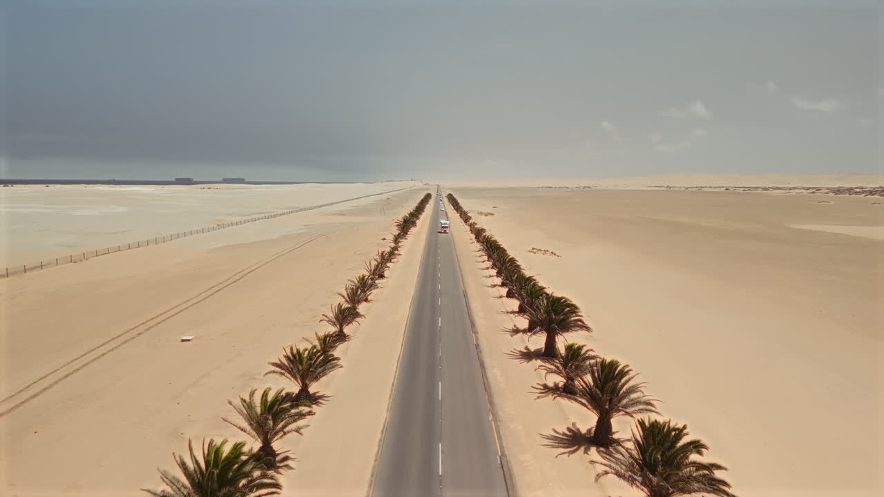 Desert Highway with Palm Trees