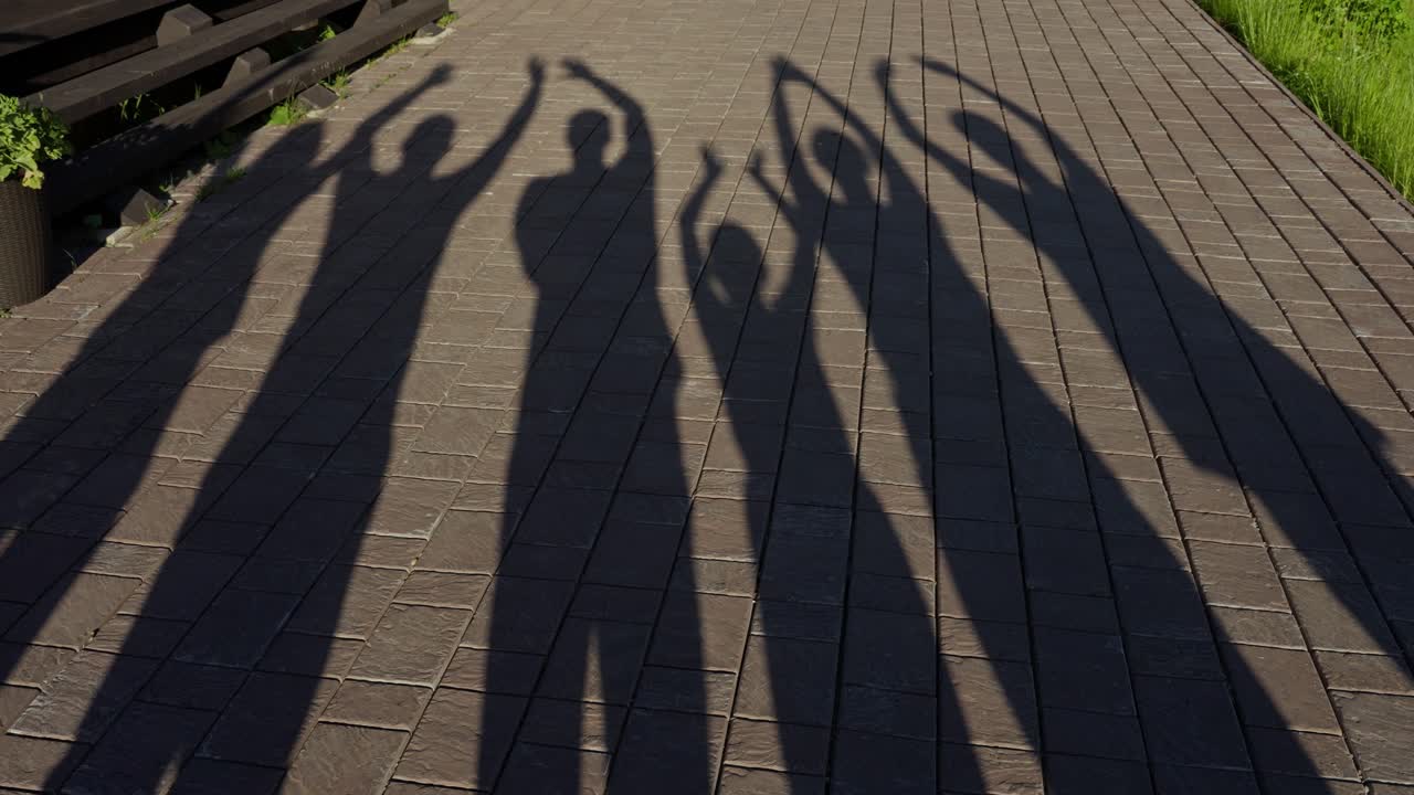 Shadows of a Happy Family