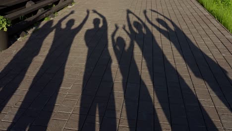 shadows of a happy family