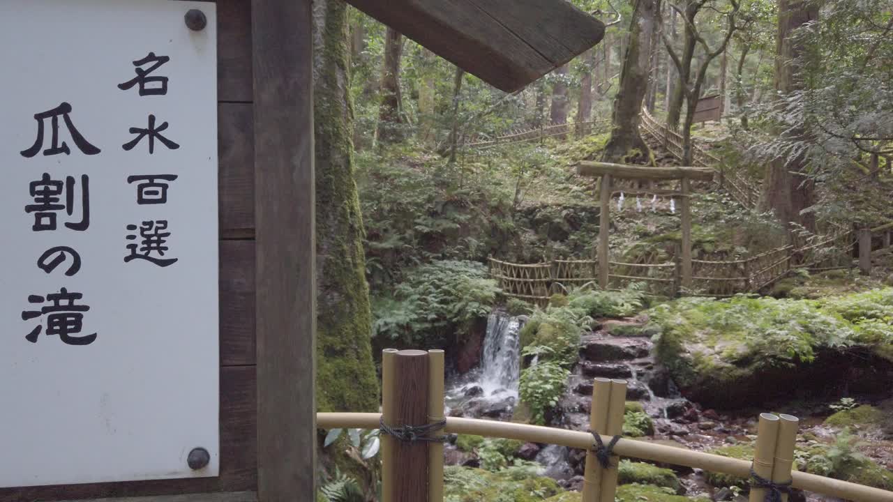 cascada de fuentes de agua mineral pura en el bosque verde de tentokuji, parque natural de japón