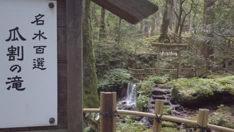 cascada de fuentes de agua mineral pura en el bosque verde de tentokuji, parque natural de japón