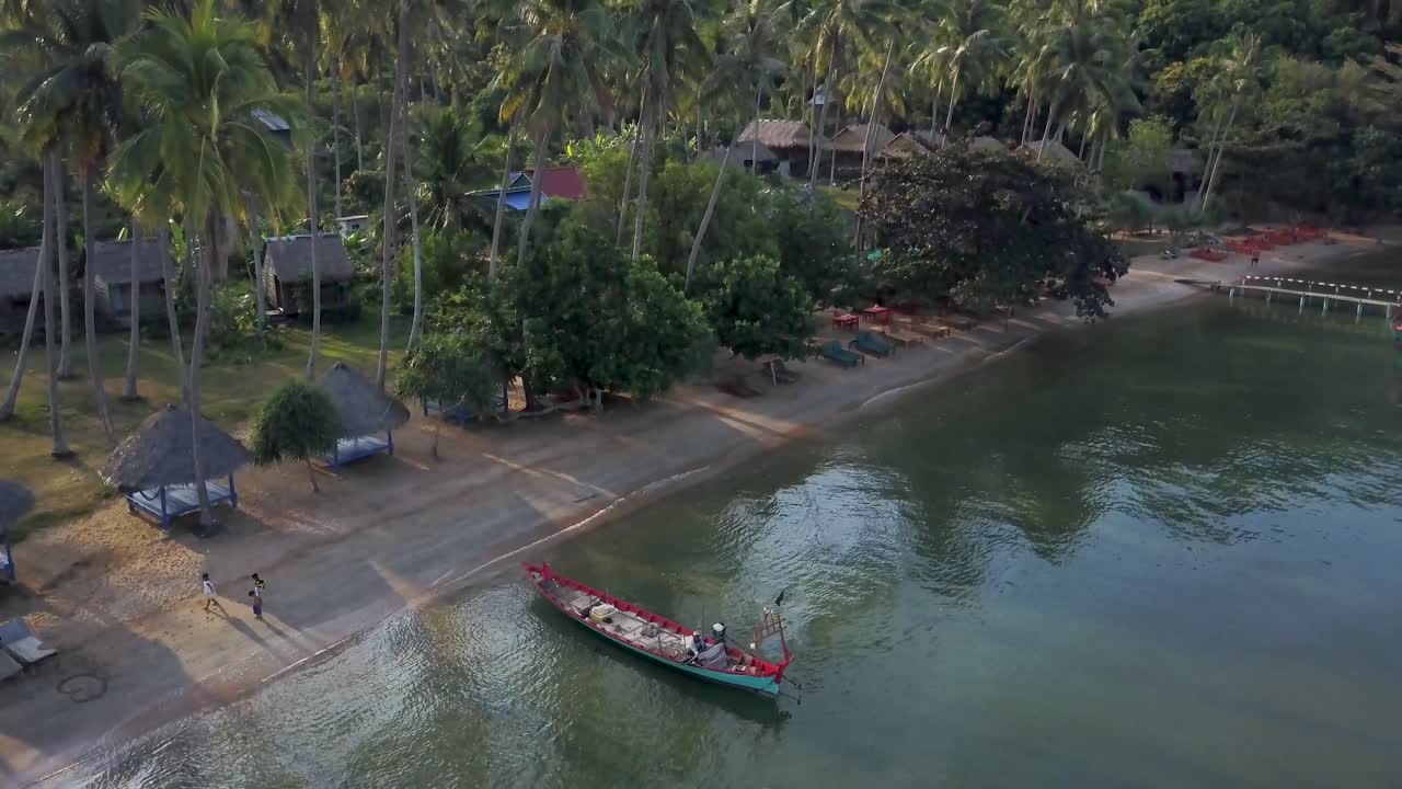 Aerial view of a tropical beach with palm trees and boats