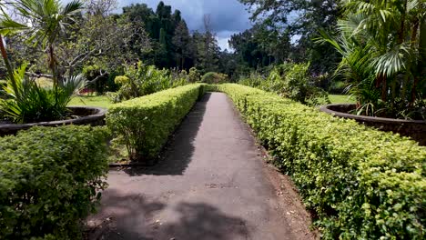 serene garden path