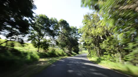 rapid journey down a scenic rural road