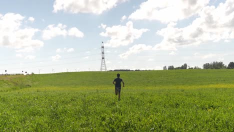 rear view of free man running across green vast field, sunny day, tilt up