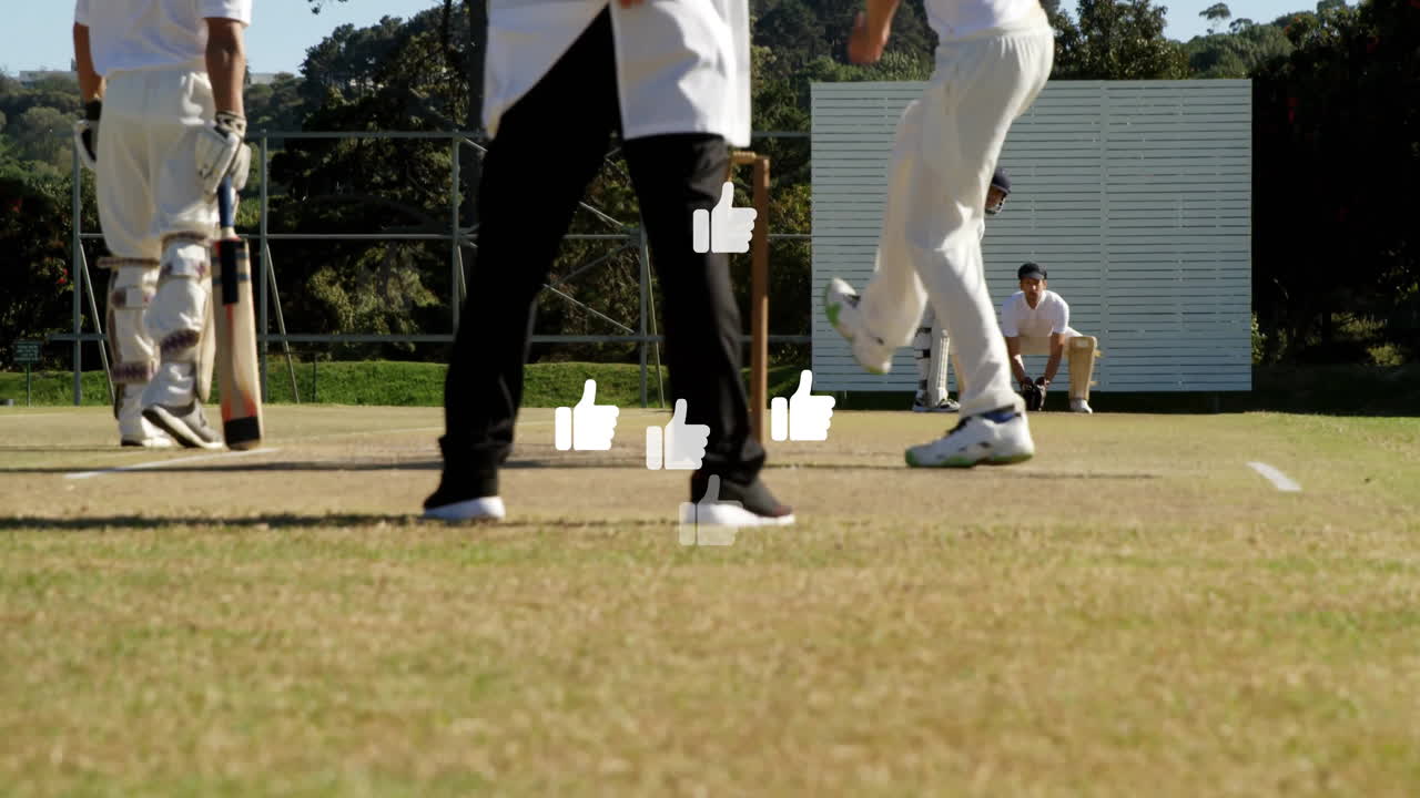 On field, cricket players with animation of thumbs-up icons overlaying scene