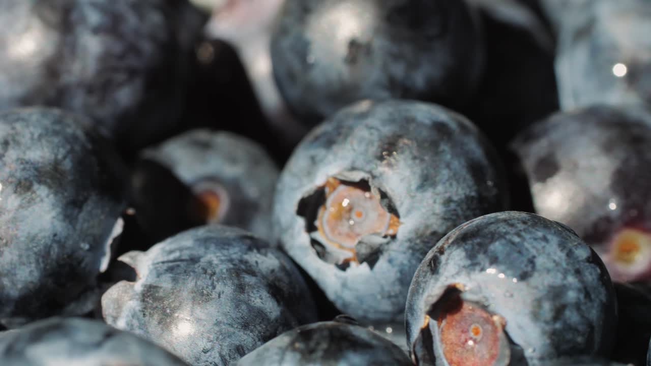 Blueberry berry background, Macro Water drops on ripe blueberries.