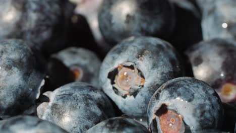 blueberry berry background, macro water drops on ripe blueberries.