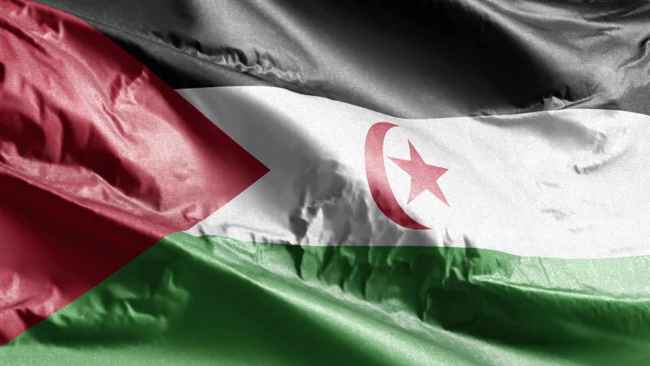 la bandera textil del sáhara occidental ondeando en el bucle del viento. la bandera del sáhara occidental balanceándose en la brisa. el tejido textil del tejido. el fondo de relleno completo. bucle de 10 segundos.
