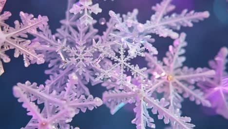 close-up of delicate snowflakes