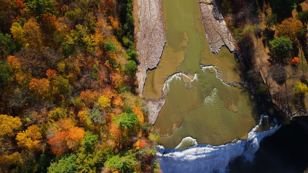 Aerial view of river and autumn trees