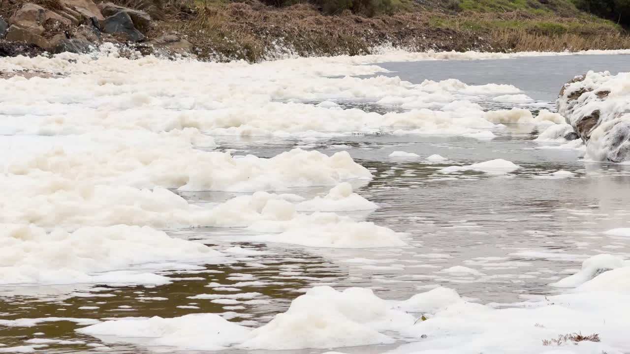 A severe Karenia mikimotoi toxic algal bloom blanketing South Australian waters. Essential for environmental documentaries, news, or scientific studies on marine pollution and climate change impacts