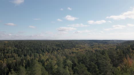 Imágenes-Aéreas-De-Bosques-Remotos-De-Pinos-Y-Abedules-En-Finlandia-1