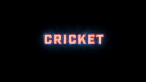 a short high quality motion graphic typographic reveal of the words "cricket" with various colour options on a black background, animated in and animated out with electric, misty elements