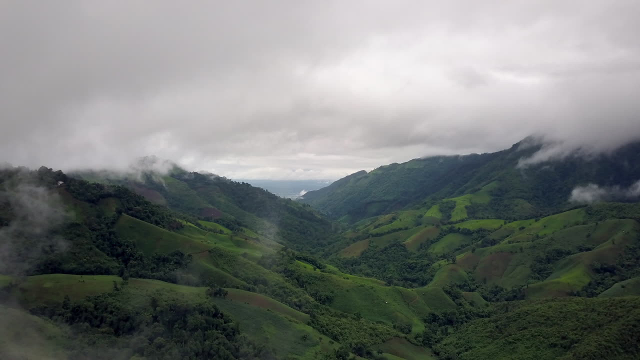 concepto logístico vista aérea de la carretera rural que pasa por la serena y exuberante vegetación y el follaje del bosque tropical lluvioso paisaje montañoso