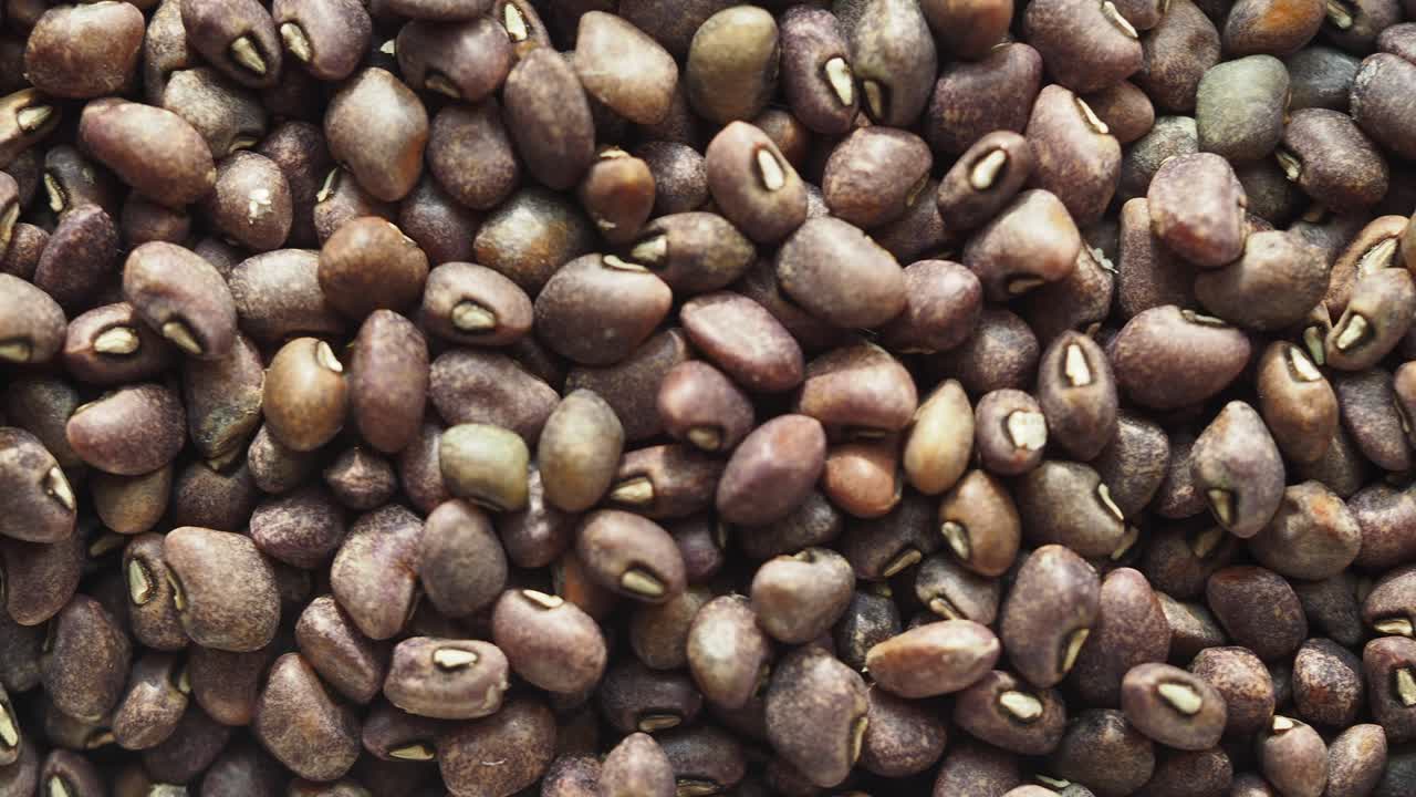 Pile of Purple Beans