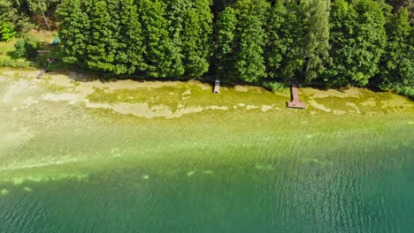 Costa-Del-Típico-Lago-Casubio-De-Las-Estrellas-Del-Lago-En-El-Molino-Borowy-En-Casubia,-Voivodato-De-Pomerania,-Polonia