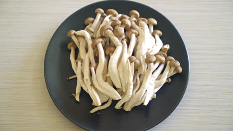 Frischer-Brauner-Buchenpilz-Oder-Schwarzer-Reishi-Pilz-Auf-Dem-Teller