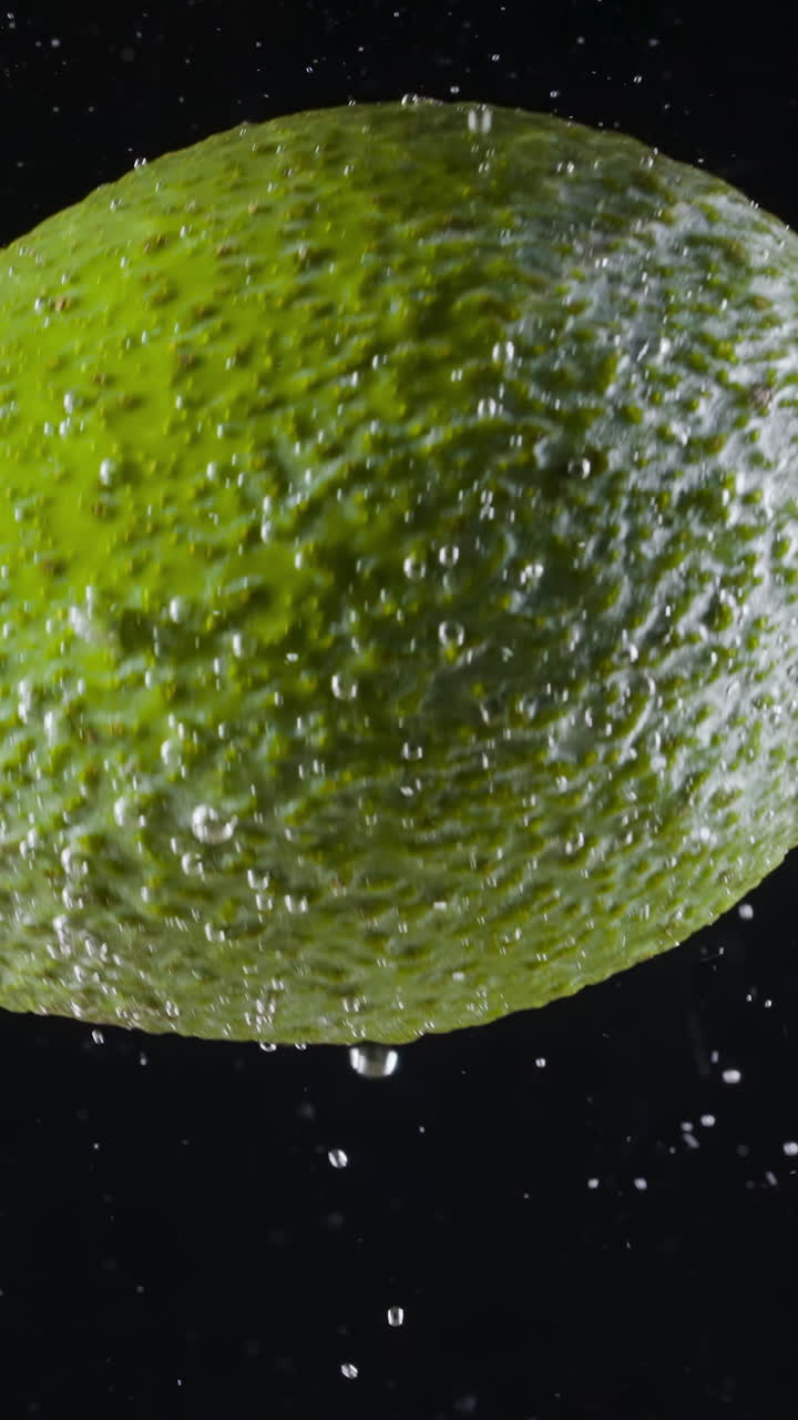 아보카도 스플래시