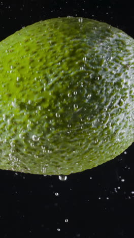 avocado splash