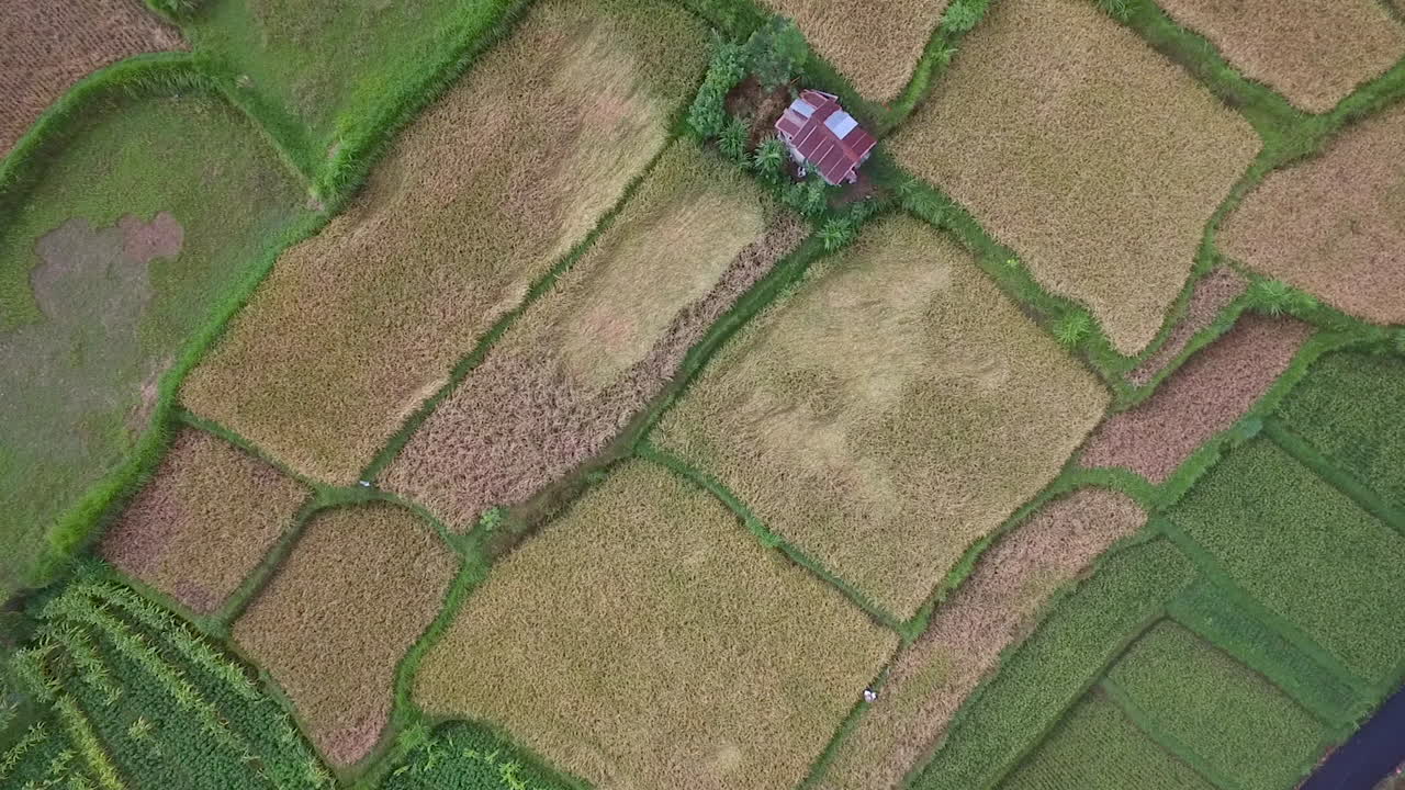 impresionante dron disparó sobre cultivos que revela una vasta tierra de cultivo