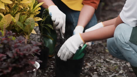 Jardineros-Trabajando-Al-Aire-Libre